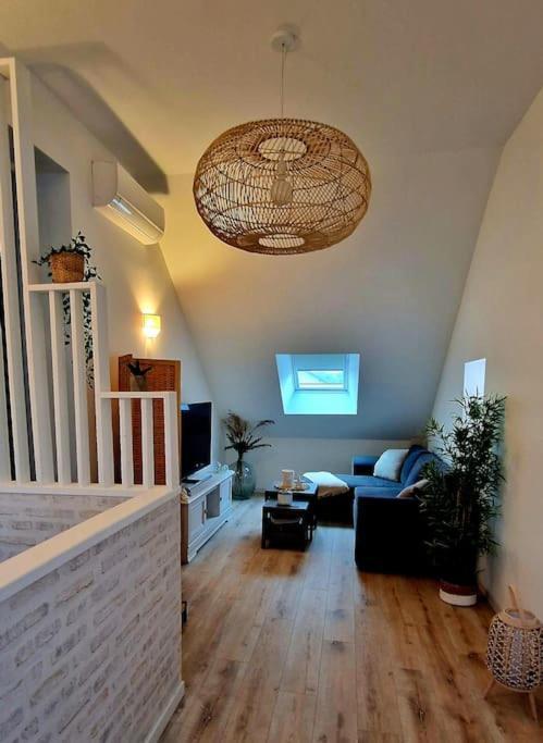 Appartement Charmant Et Spacieux オセール エクステリア 写真