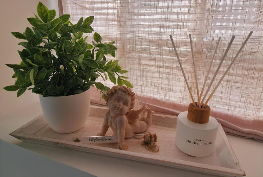 Appartement Charmant Et Spacieux オセール エクステリア 写真
