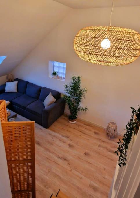 Appartement Charmant Et Spacieux オセール エクステリア 写真